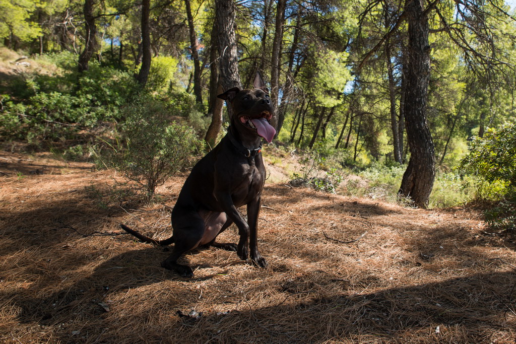 Marta pliva i uživa na moru 